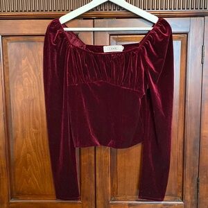 Cider Renaissance Velvet Burgundy Corset style long sleeves  ruched bust